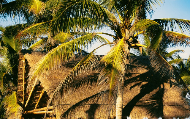 Mia Tulum Resort Beach Front