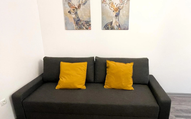 Renovated Cosy Studio near Central Station