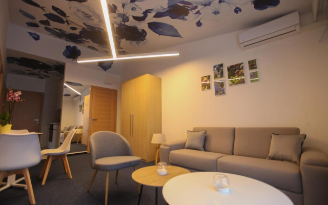 Luxury Apartments Taša