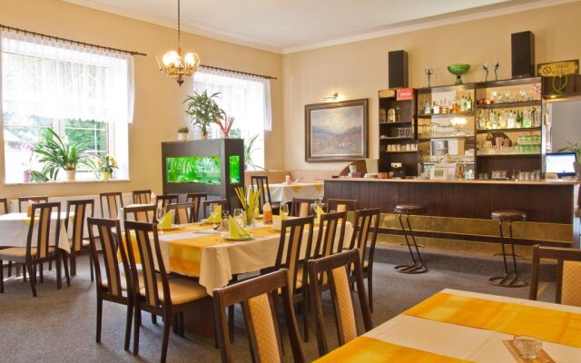 Hotel Konik