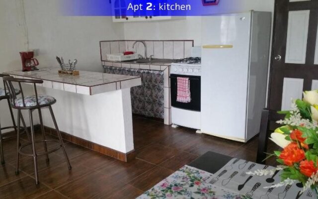 Barracuda Apartments Samara