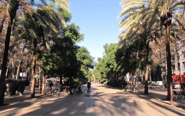 My Address in Barcelona Downtown