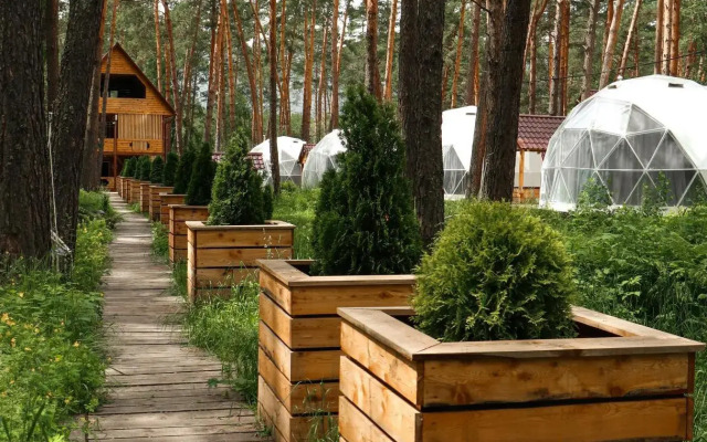 Роял Форест