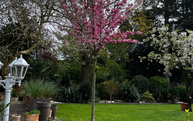 Villa Boardinghouse Meerbusch nahe Düsseldorf-Messe