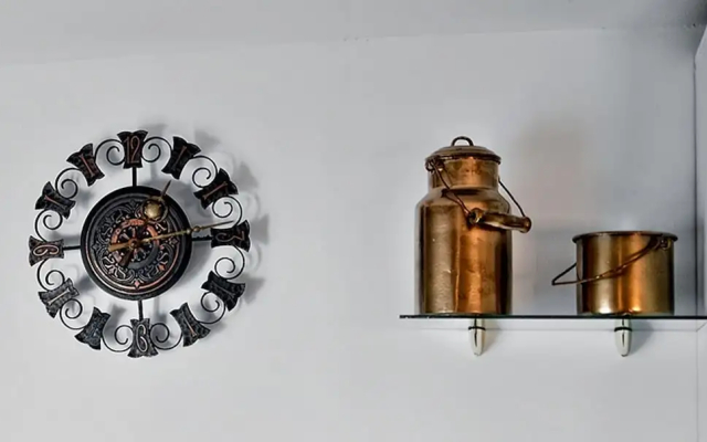 Happy Jackdaw in the Center of Split