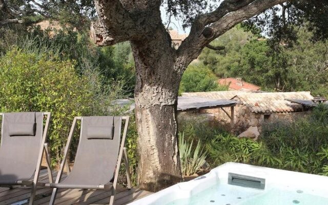 Les Oliviers de Palombaggia