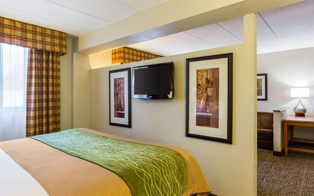 Comfort Inn Herndon - Reston