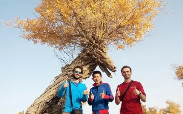 Korla Dragon Path Hostel