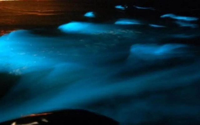 2 Bed-sleeps 4-gated Community-5 Min Town Centre