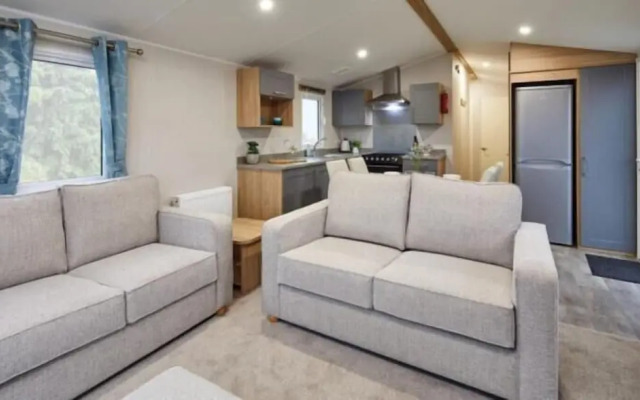 Cayton Bay Kestrel40