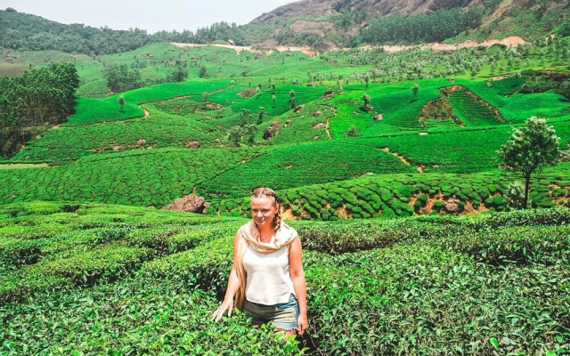Moon hill munnar