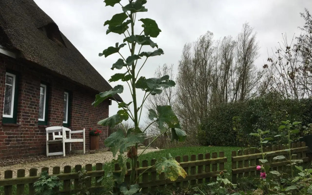 Reetdachhaus Moordeichperle