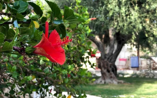Villa Pippa
