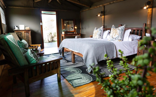Buffelsdrift Game Lodge