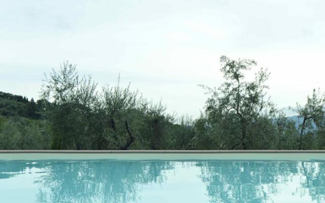 L'Orcio e L'Olivo