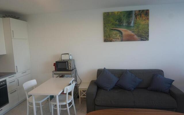 Augartenblick Penthaus 17 - Blick zum Riesenrad