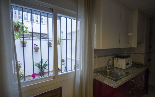 Apartamentos Gibralfaro