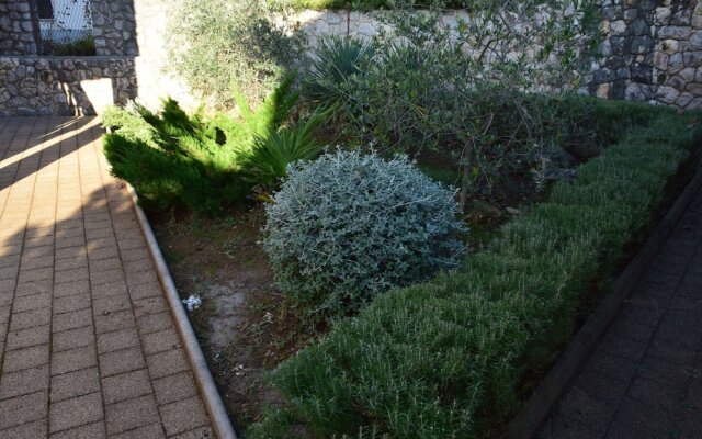 Apartment Valter