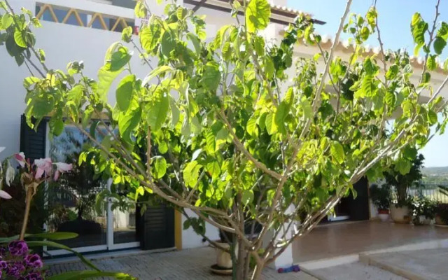 Sagres House