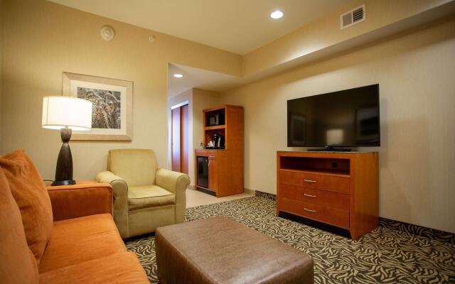 Hilton Garden Inn Cedar Falls