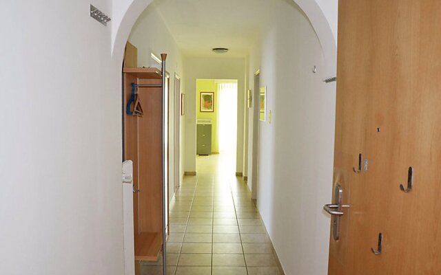 Corallo (Utoring) 14793