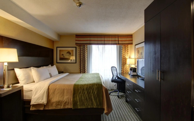 Comfort Inn Chatham
