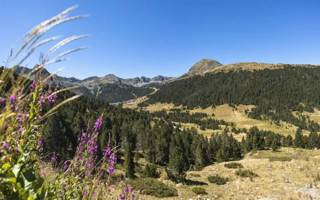 Mirador Bordes De Envalira