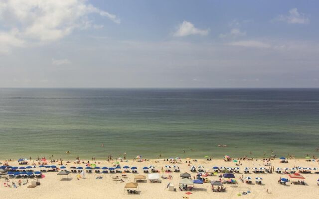 Shoalwater 903 by Youngs Suncoast