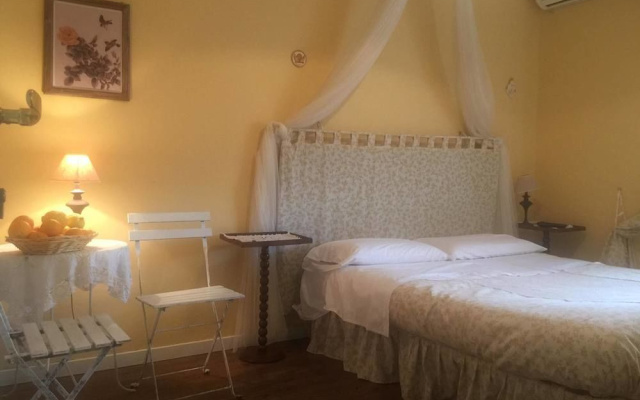 B&B Xenia
