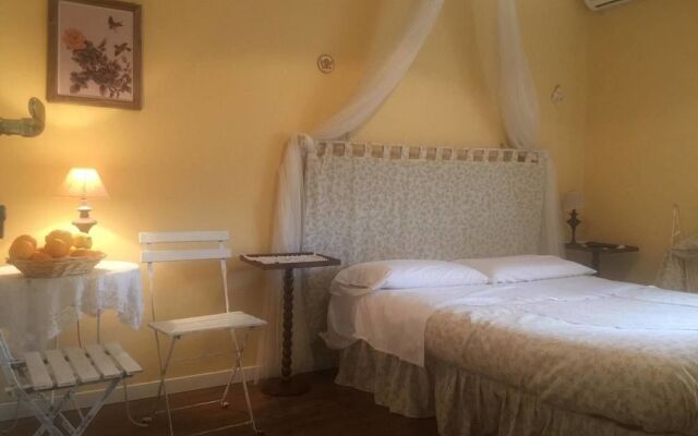 B&B Xenia