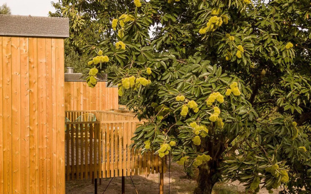 Aloia Nature Alojamiento Forestal