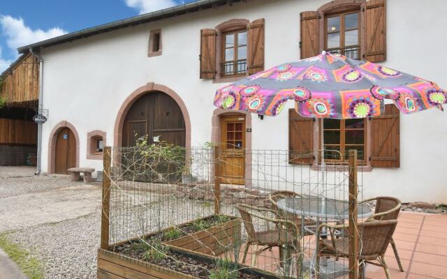 Apartment in Saint-dié-des-vosges With Terrace