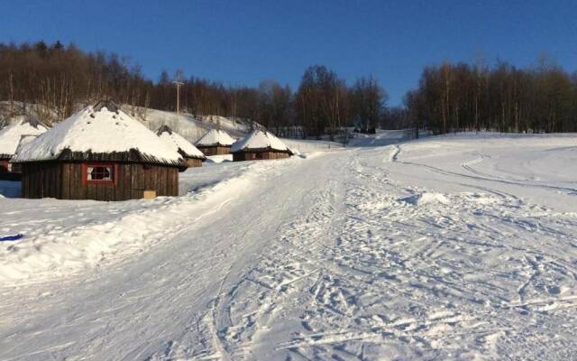 Arctic Cabins