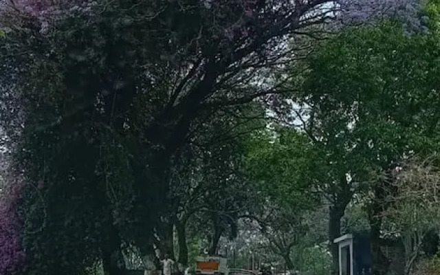 The Ark Haven Ooty by Scenic Serenity Stays