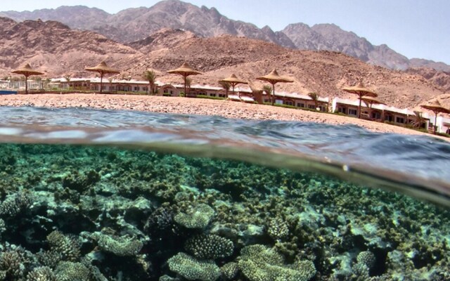 Canyon Estate Kite & Dive Beach Hotel Residence