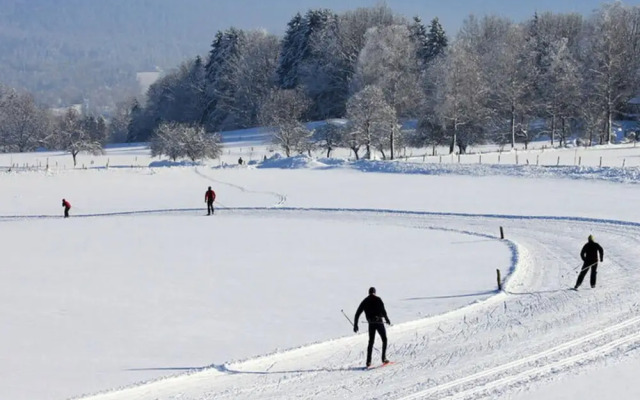 Bergwiesen - Studio House