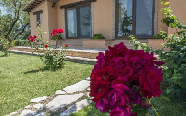 TENUTA FONTE VIVA azienda agricola santo pietro