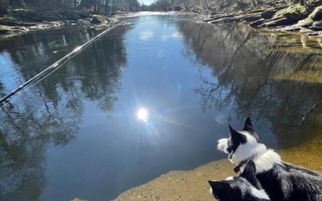 Alpine Apartments - 1