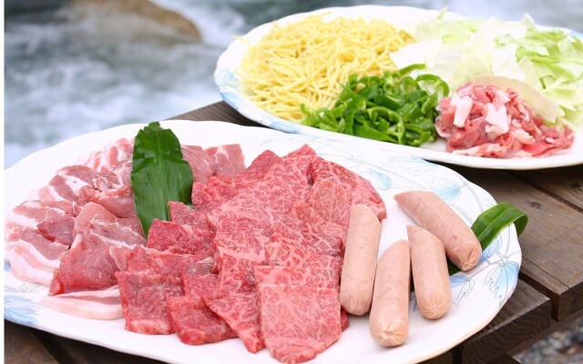 Cottege Stropen House