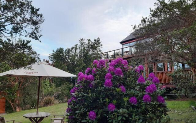 Hostel Torobayo