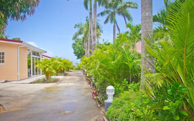 Hotel Oasis