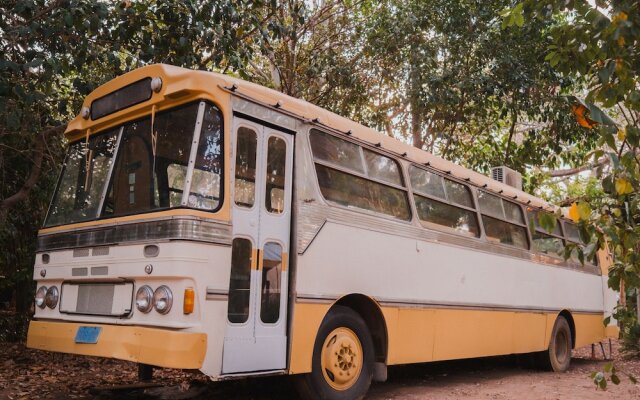 Bounce Magnetic Island