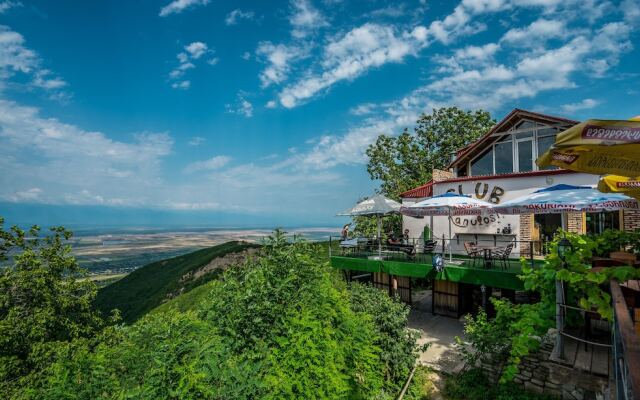 Nando Guest House