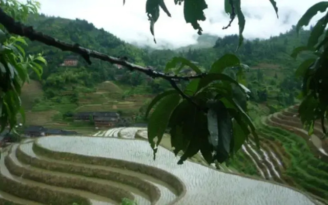 Longji Terraced Fields Jing Liu Ren Inn
