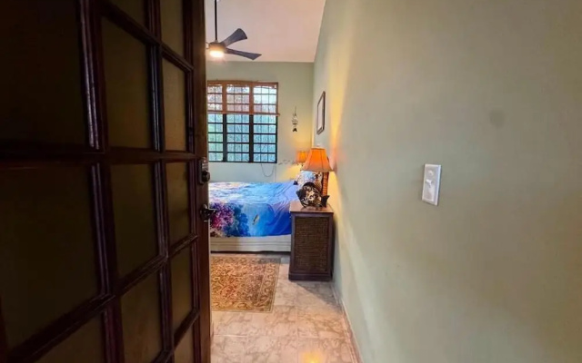 Vieques BioBay Bed and Breakfast