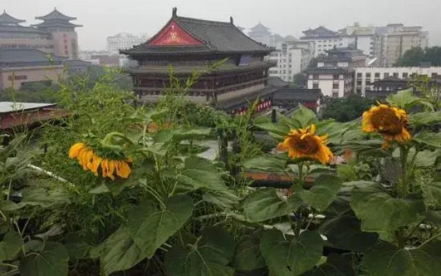 Hotel Ibis Styles Xi'an Bell and Drum Tower Square Muslim Quarter