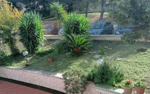 Tarantula House