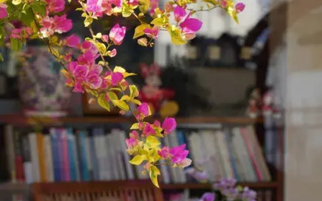 Sato-Hill Homestay