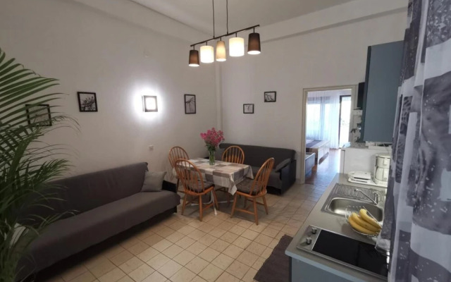 Apartment 1 RI Ruza 3 1 pax