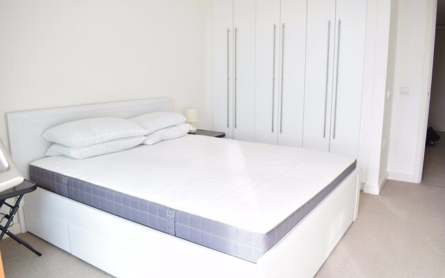 1 Bedroom Apartment in Battersea With Roof Terrace